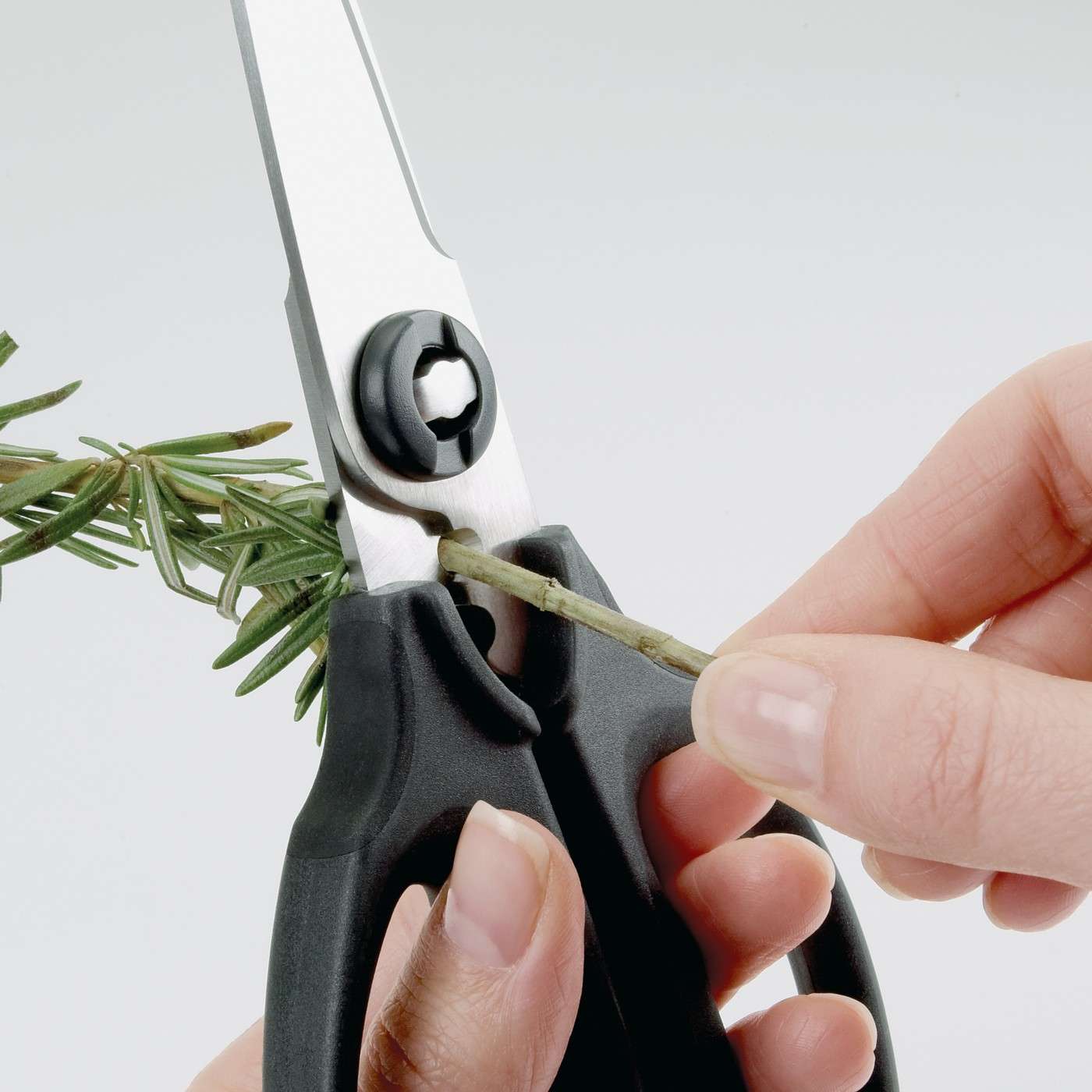 Oxo Good Grips Kitchen and Herb Scissors - Simmer and Slice