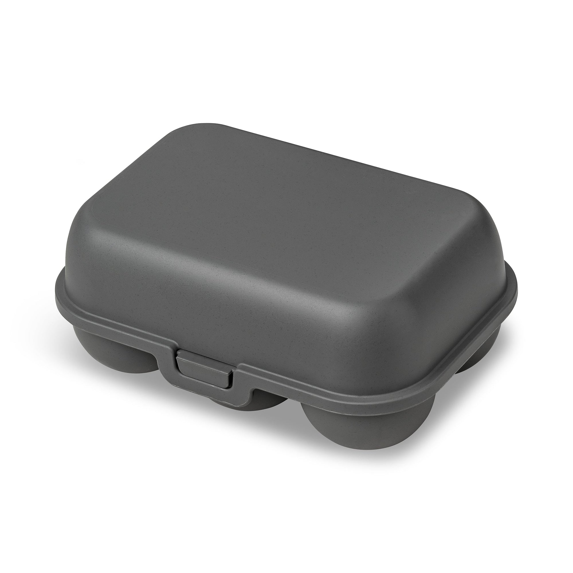EGG BOX EGGS TO GO MINI NATURE ASH GREY