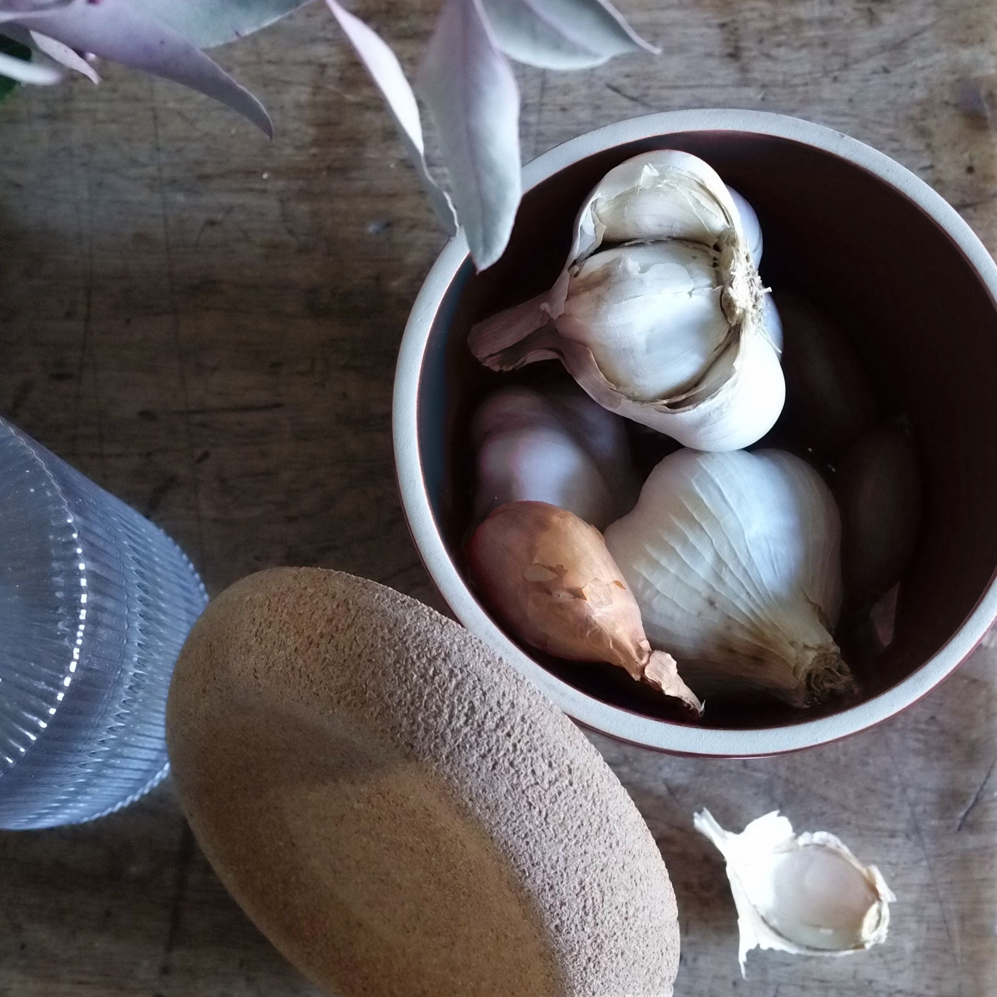 Emile Henry Garlic Pot Clay 14.6cm dia.