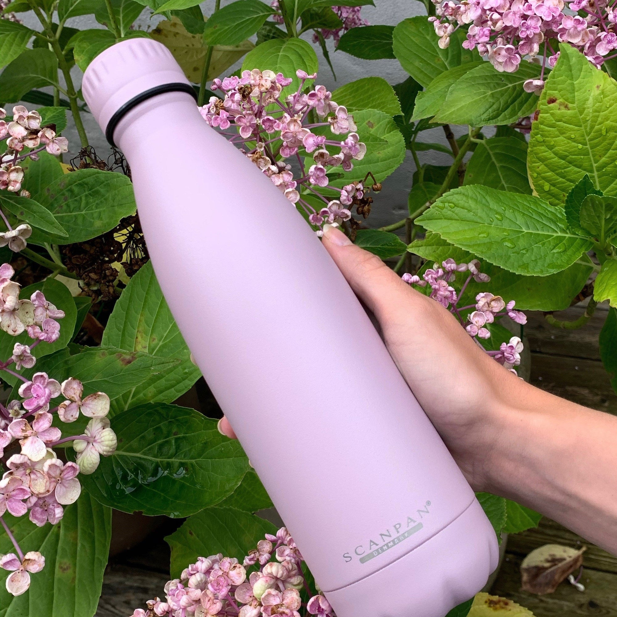 SCANPAN To Go 500ml Bottle - Dawn Pink