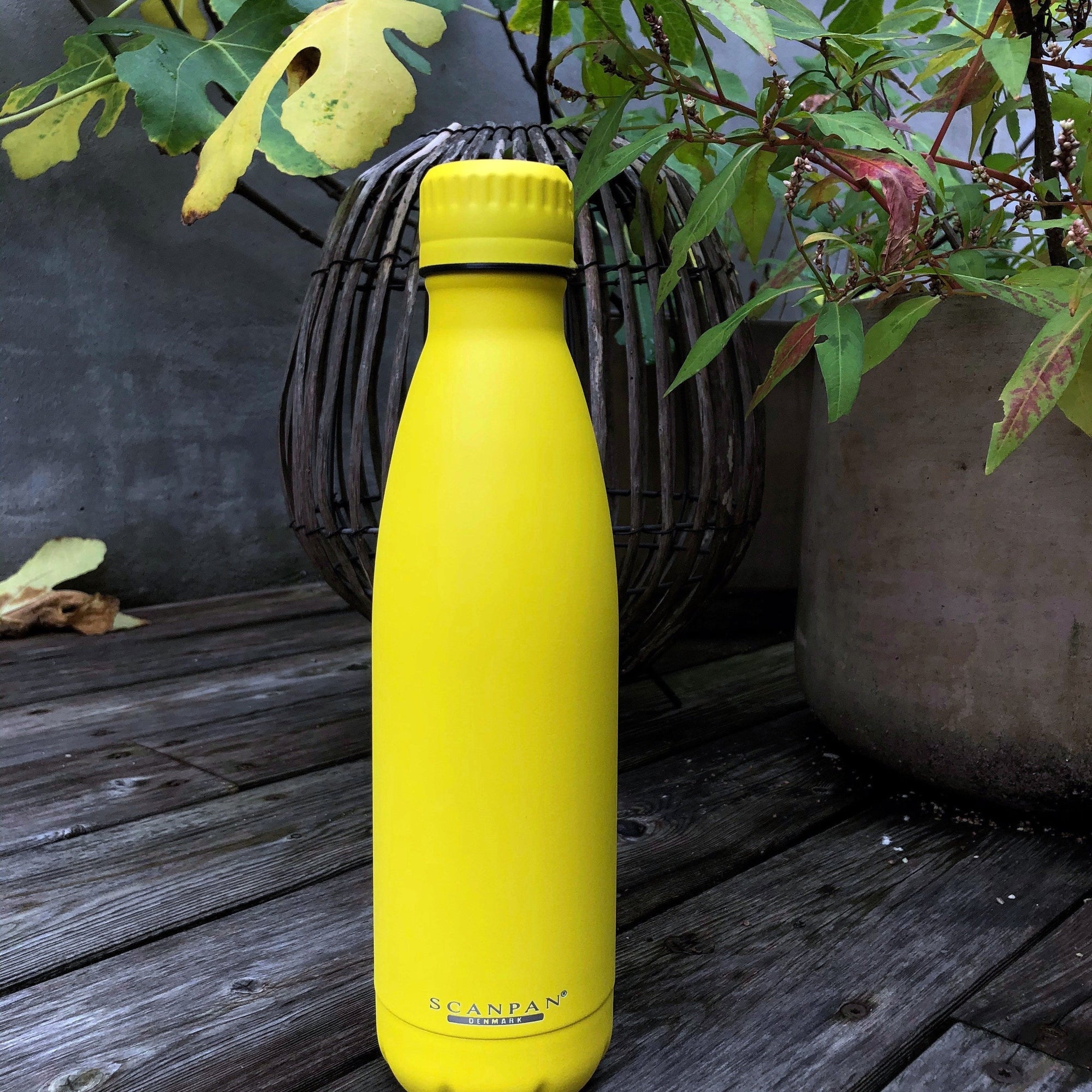 SCANPAN To Go 500ml Bottle - Primrose Yellow - Simmer and Slice