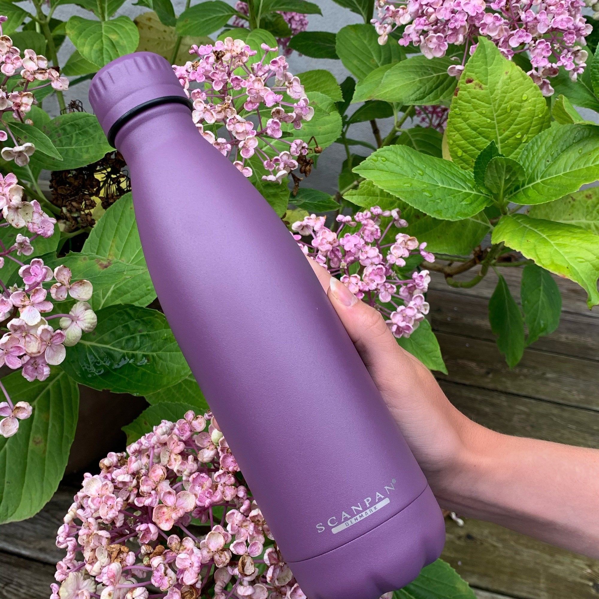 SCANPAN To Go 500ml Bottle - Violet Purple - Simmer and Slice