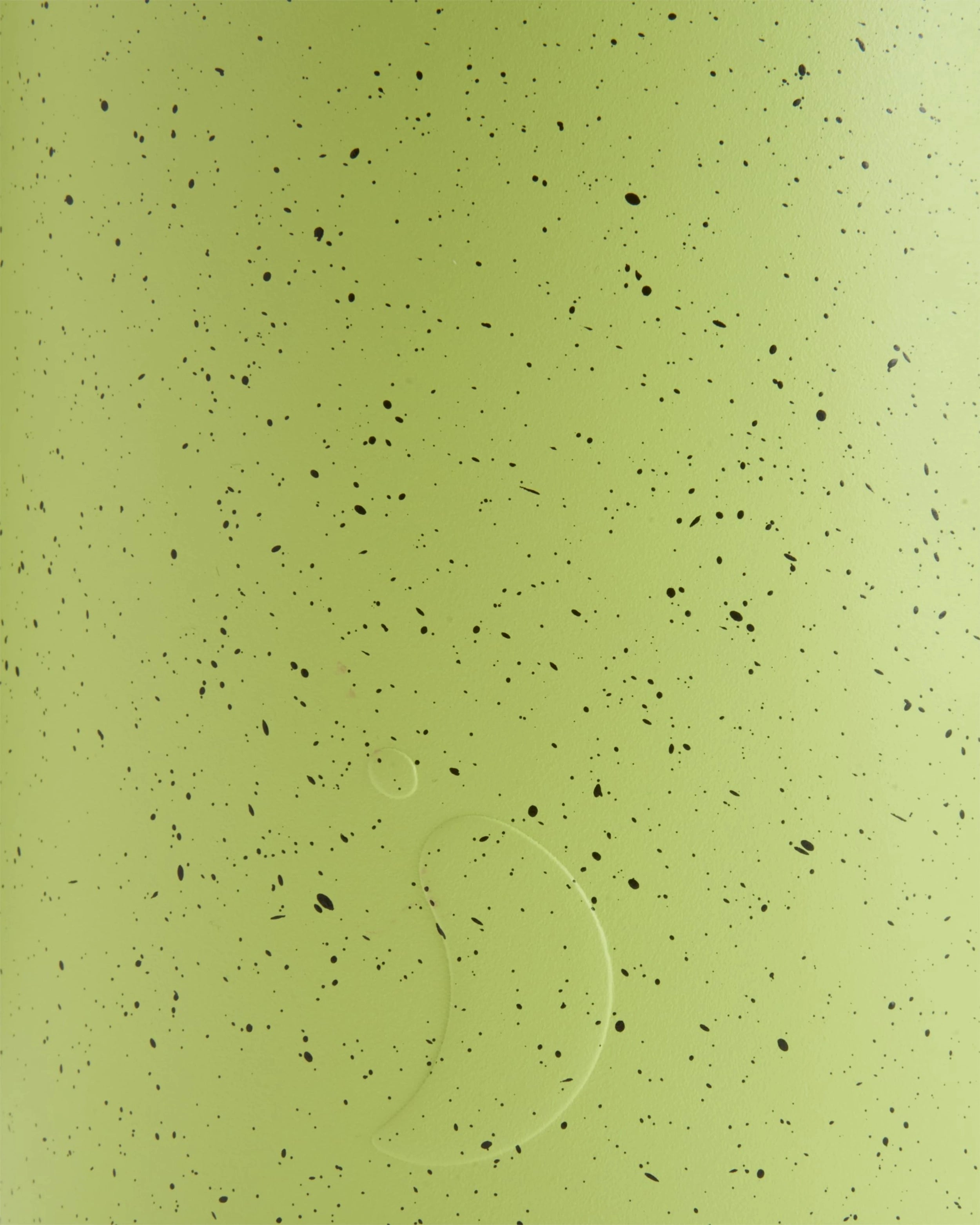 Chilly's Big Mouth Limelite Fleck 2 Litre Bottle