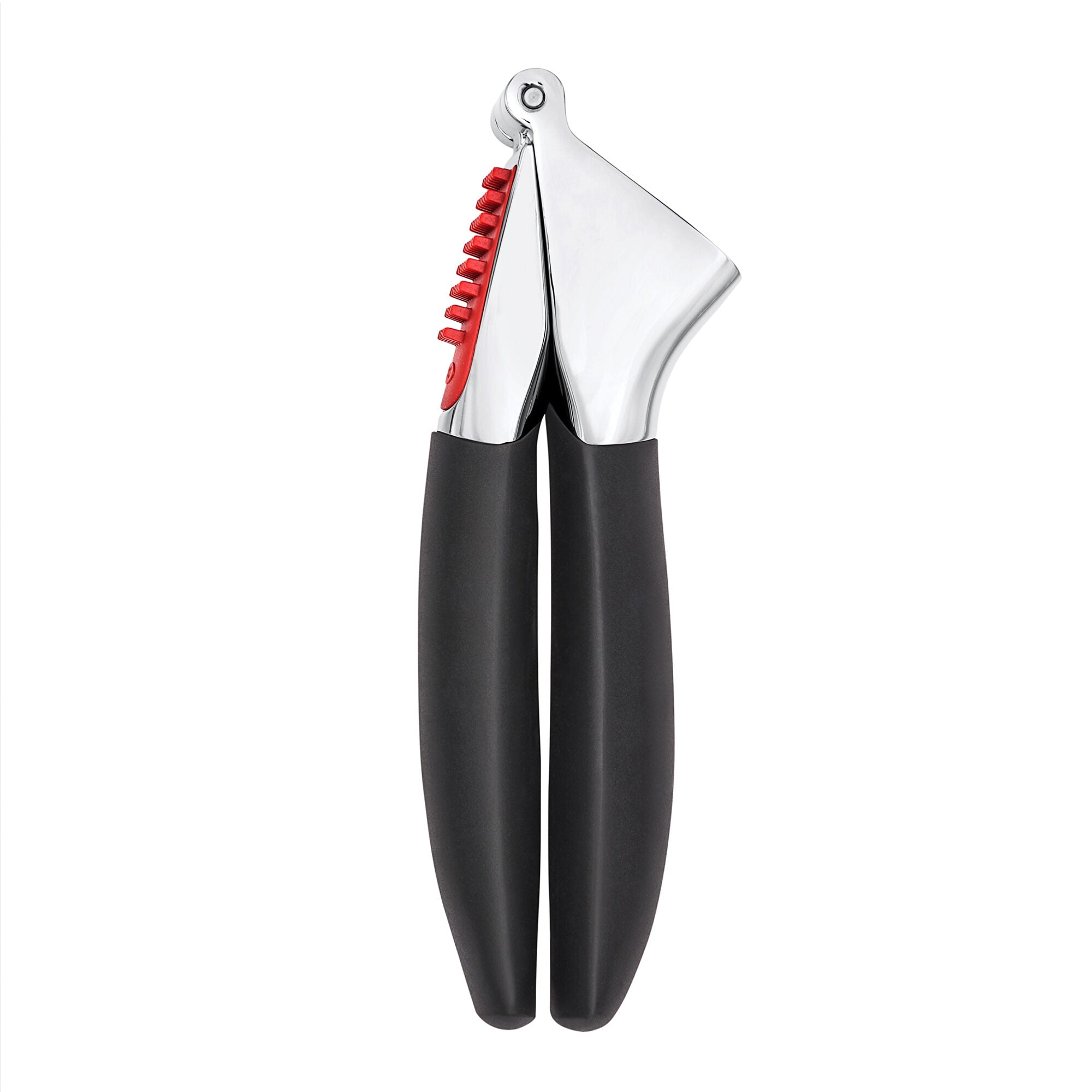 Oxo Good Grips Garlic Press (with cleaner)