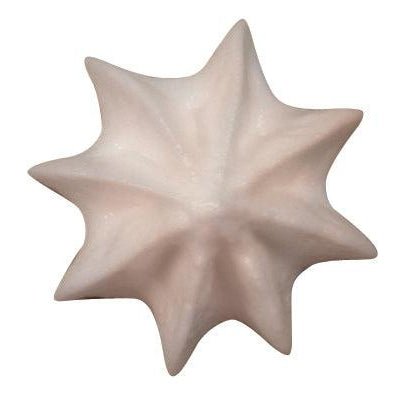 De Buyer Stainless Steel Star Nozzle (A8) - Simmer and Slice