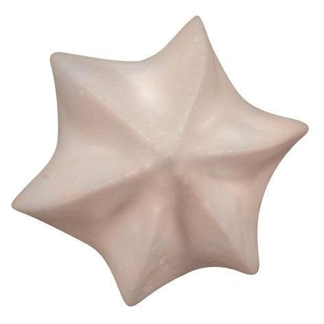 De Buyer Stainless Steel Star Nozzle (C6) - Simmer and Slice