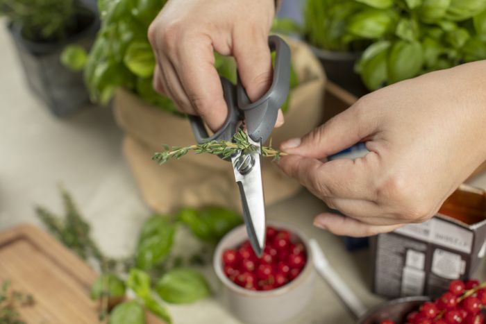 Kuhn Rikon Kitchen Shears Compact - Simmer and Slice