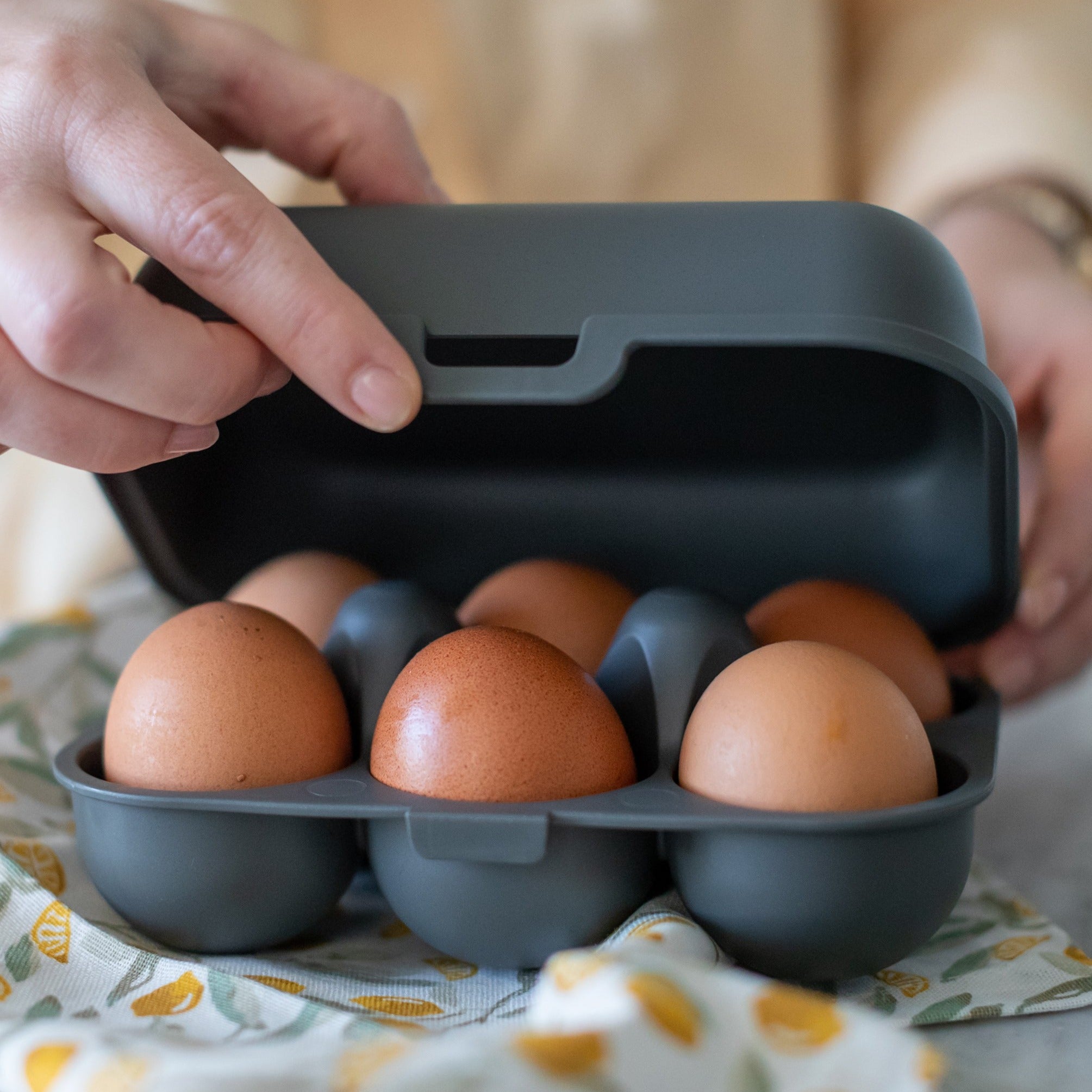  EGG BOX  EGGS TO GO MINI  NATURE ASH GREY